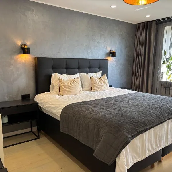 Tammsaare Luxury Apartment, hotel in Pärnu
