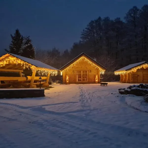 Chalet am See, hotel in Bad Brambach