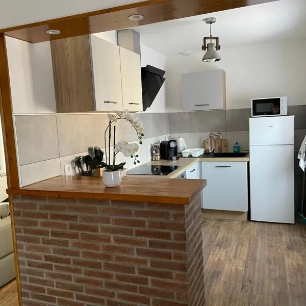 Grand appartement proche centre ville et Rocamadour, viešbutis mieste Grama