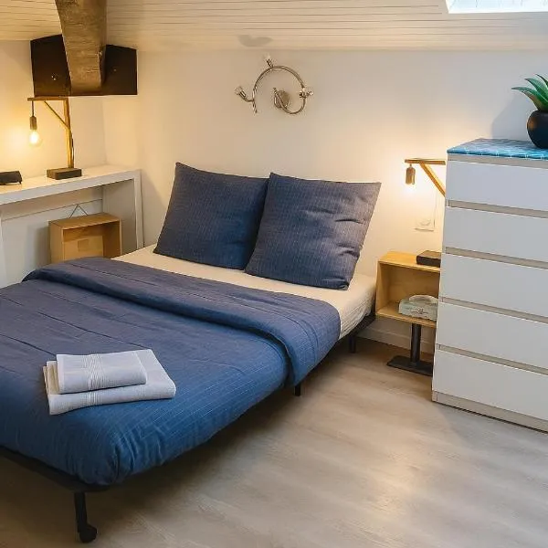 Charmant Studio - Centre Dax, hotel in Dax