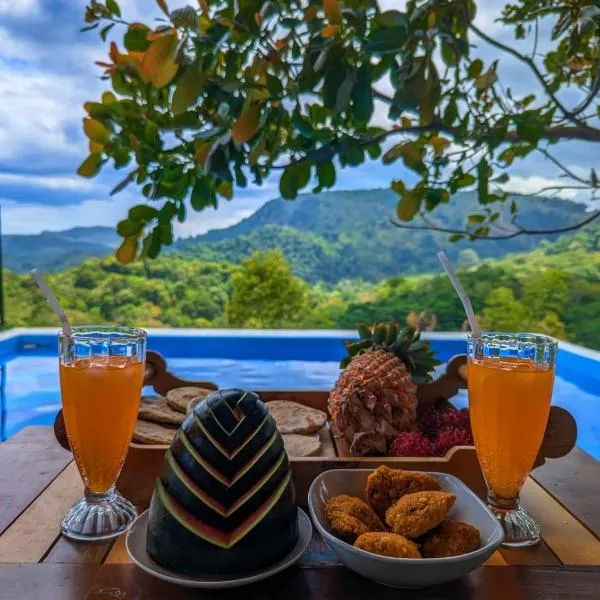 Gold Field Villa, hotel in Koslanda