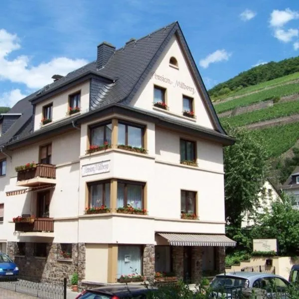 Pension Milberg Assmannshausen, hotel v destinaci Rüdesheim am Rhein
