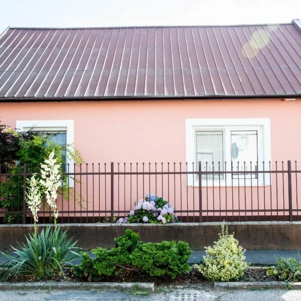 Ubytovanie Némethová, hotel in Štúrovo
