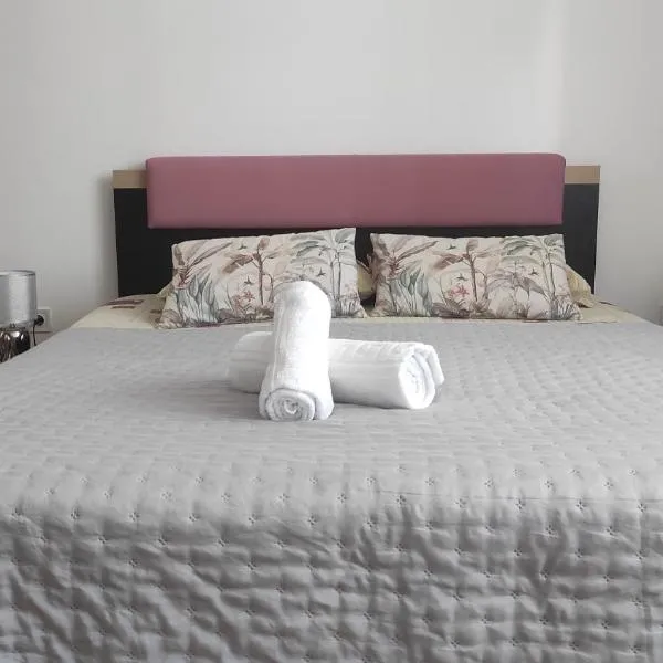 Alba Iulia में, होटल Alba apartment