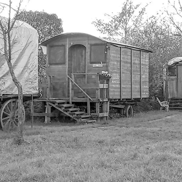 Ecogarden camping with rooms, khách sạn ở Zelarino