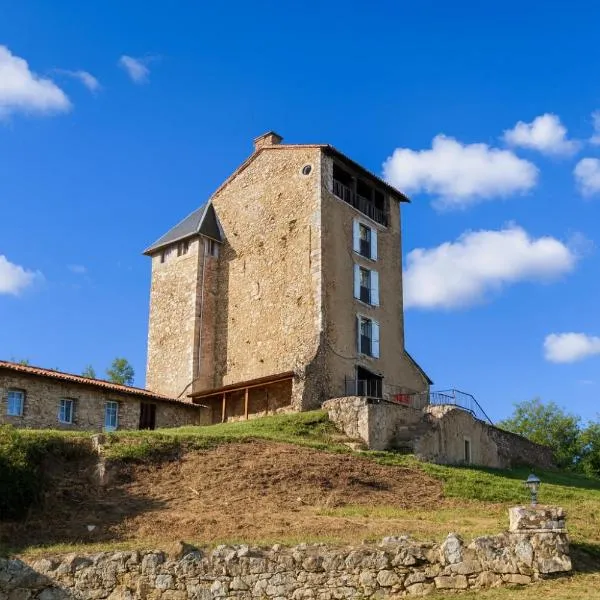 Chateau Montegut Logis Rustique des Pyrénées, hotel in Montégut