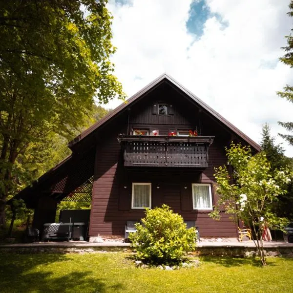 Chalet Lana with Hot Tub, hotel in Gozd Martuljek