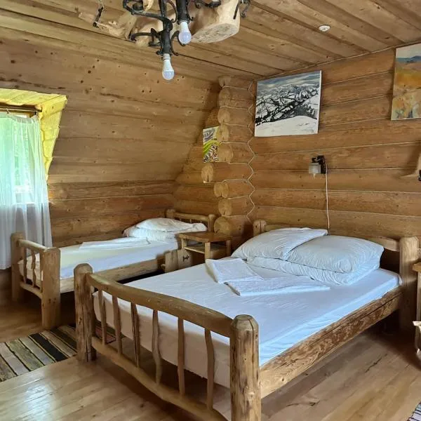 Pilipets에 위치한 호텔 Будинок Художника Шипіт