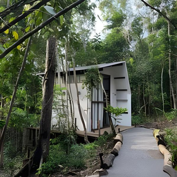 Itacaré Ecolodge - Experiencia de Imersão na Mata Atlântica