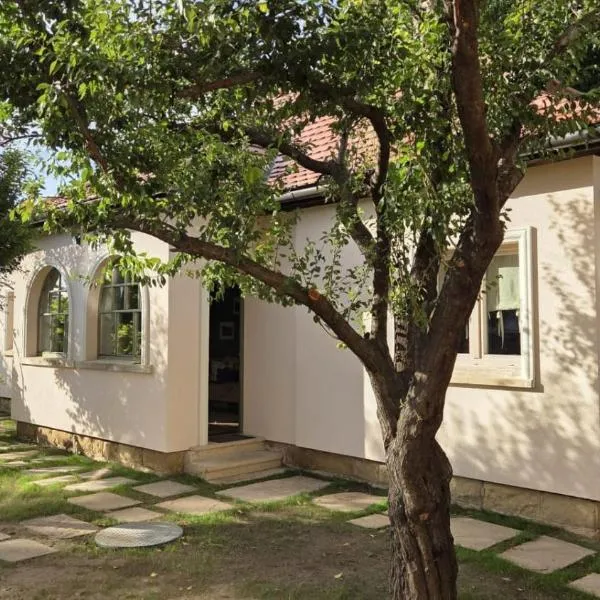 Stone House, hotel in Tîrgu Secuiesc