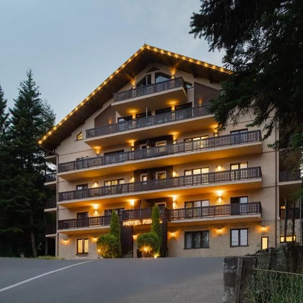 Hotel Regal, hotel in Sinaia