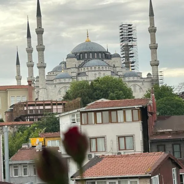 İstanbul Sophia hotels, ξενοδοχείο στην Κωνσταντινούπολη