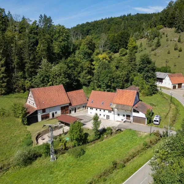 Mühlenchalet, hotel in Gundershofen
