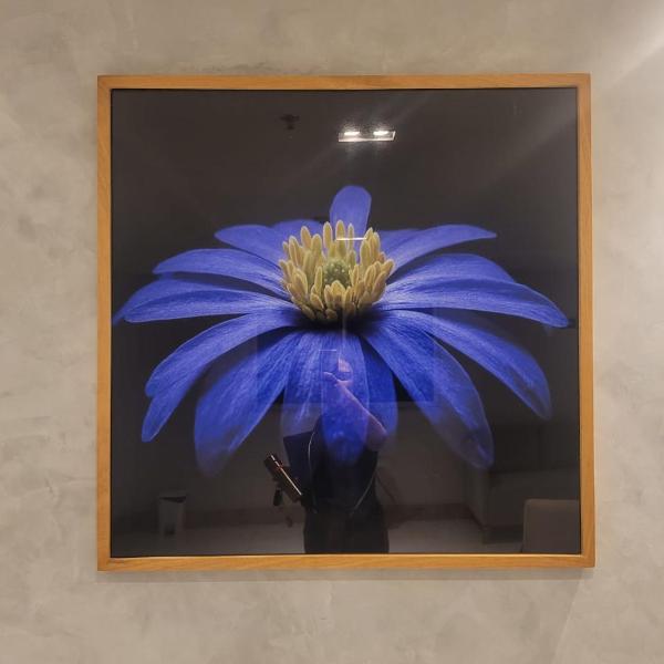 Home Design Club - Foto 5