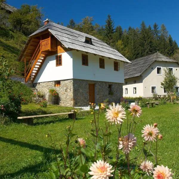 Turistična kmetija Povh, hotel in Prevalje