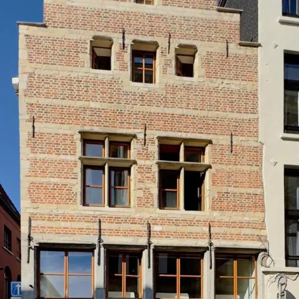 Dolfijn Hostel, hotel v Antverpách