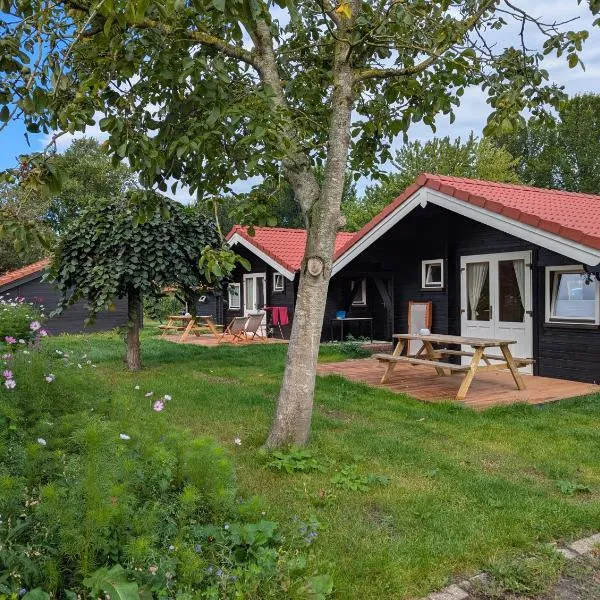 The Bee - Trekkershuts & Apartment, hotel in Opperdoes