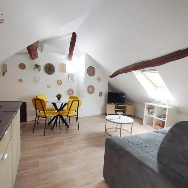 Orléans centre T2 théâtre et cathédrale, hotel in Orléans