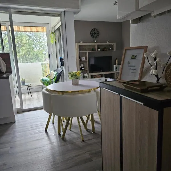 Idéal long séjour, Souvenirs de Provence,T2 classé, vue sur les montagnes, toutes commonditées!, hotel in Digne-les-Bains