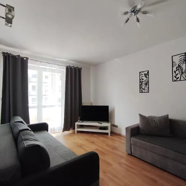 SDH 3 Wolomin comfortable apartment near Warsaw, hotel in Wołomin