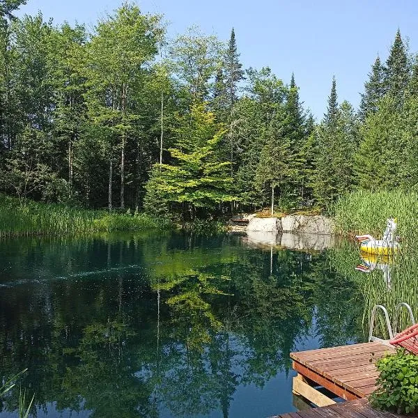 Private Hummingbird Room - Modern & Cozy, hotel em Mansonville