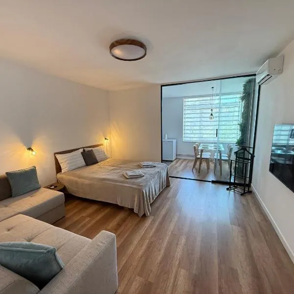 ENE Studio, hotel in Oradea
