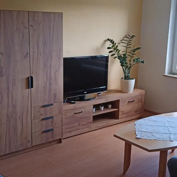 Apartmán V Sídlišti Rousínov, hotel v destinaci Vyškov