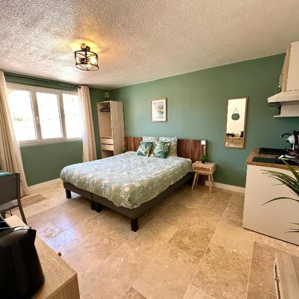 Les Appartements du Mas - Studio Amazonite, hotel in Saint-Laurent-dʼAigouze