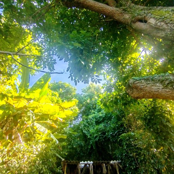 Filhas da Terra Jaguanum