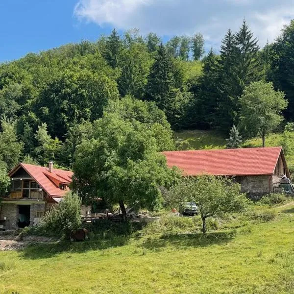 Off-grid Eco Farm Dolinka, hotel in Kozelník