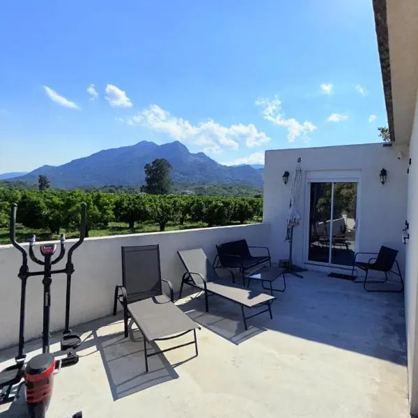 Studio vue sur les clémentiniers, hotel in Santa-Lucia-di-Moriani