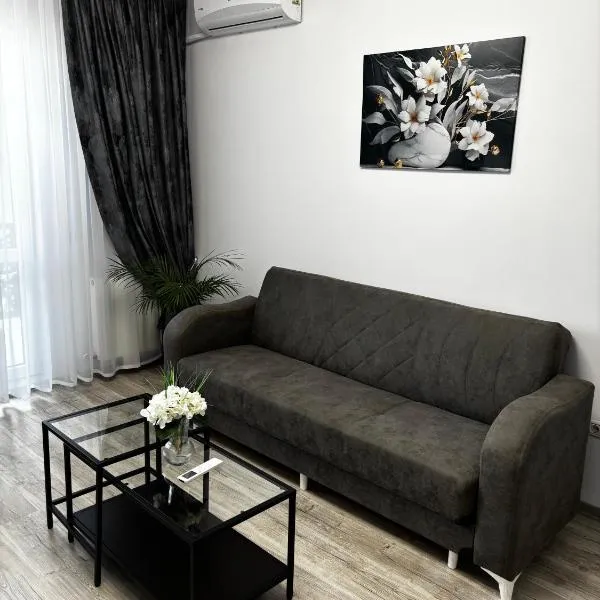 Anastasia Dragonul Roșu Spitalul Fundeni, hotel in Dobroeşti