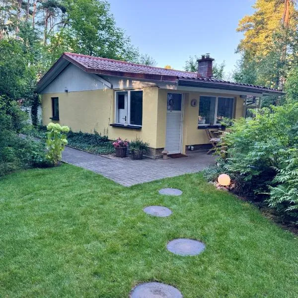 Ferienhaus im Wald, hotel in Borkwalde