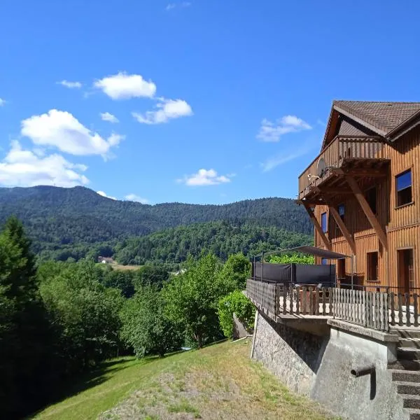 Gîte 3 étoiles jusqu'à 12 pers, hotel in Fresse-sur-Moselle