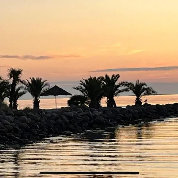 Palm Beach, hotel i Frederikshavn