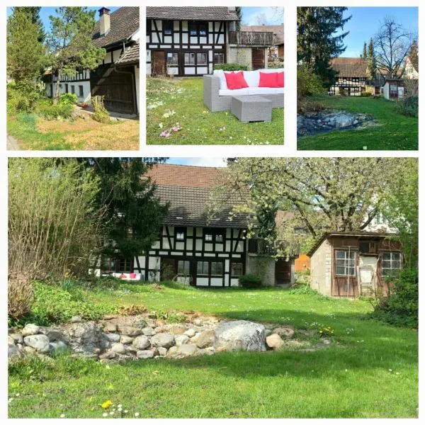 Room in cosy traditional swiss house, hotel in Wasterkingen