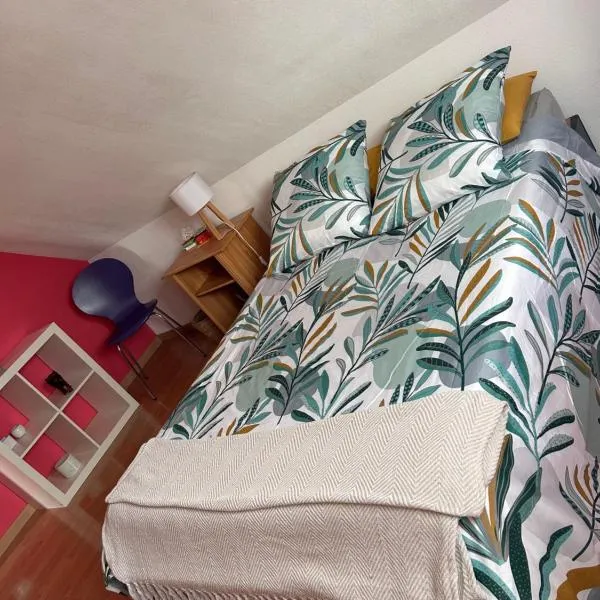 maison privée offre chambre hôte, hotel in Kingersheim