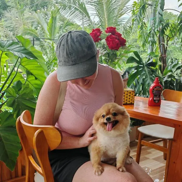 Ninh Binh Peaceful Retreat, hotel in Ninh Binh
