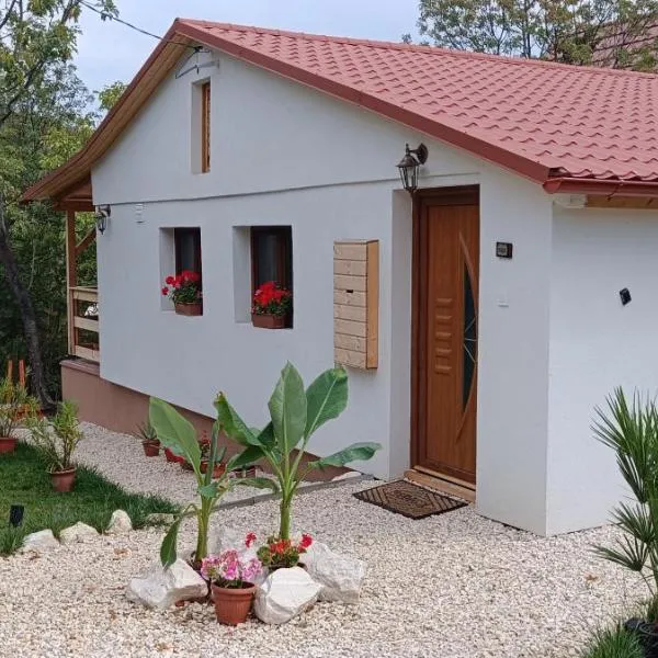 Hilltop Cottage in Szentendre, mountain view, terrace, garden, Hotel in Szentendre