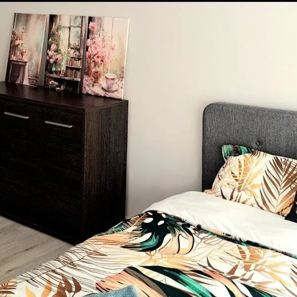 Urban escape Kaunas - One bedroom apartment Krėvės 16, hotel in Kaunas