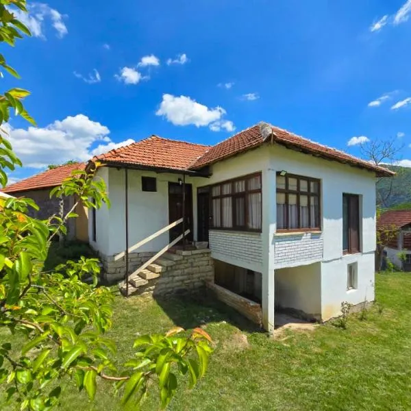 Etno smeštaj Stojadinović, hotel in Svrljig
