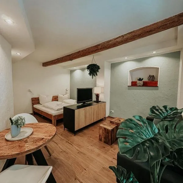 Wohnen in der Altstadt - Wohnungen und Studio, hotel en Gundelsheim