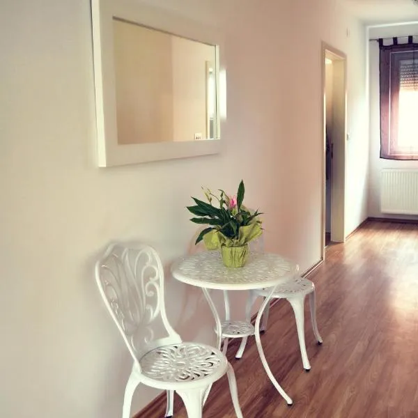 Hostel Art Gradiska, ξενοδοχείο σε Bosanska Gradiska