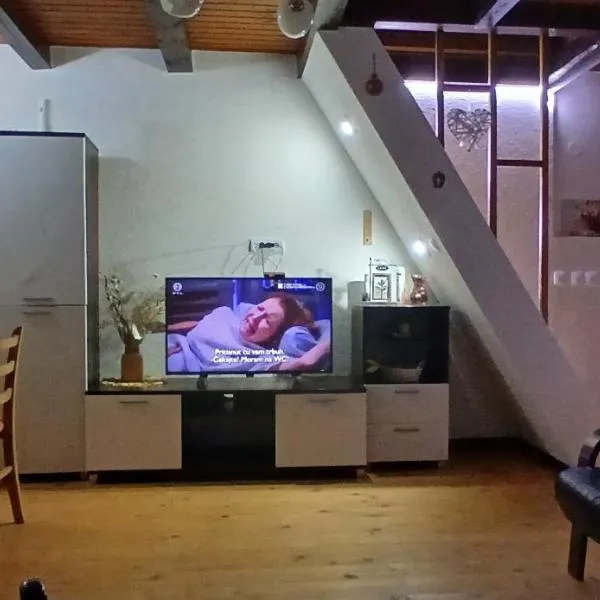 Vikendica Savic TKM, hotel i Pale