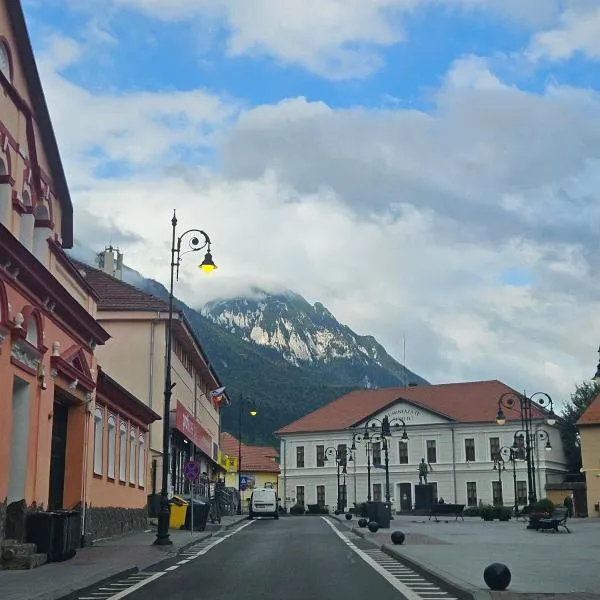 Apartment Zarnesti City Centre VMP Free Parking, hotel in Zărneşti