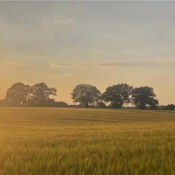 Tranquil detached barns in Sherborne St John, hotel in Sherborne Saint John