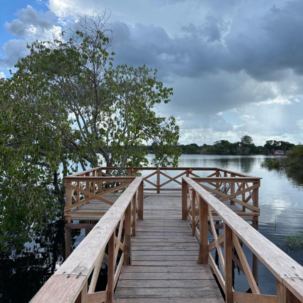 Amazon Private Tours Jungle Lodge - Foto 5