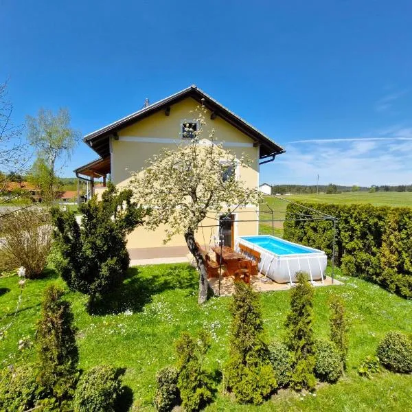 House Dijana With Pool - Happy Rentals, hotell i Nova Vas