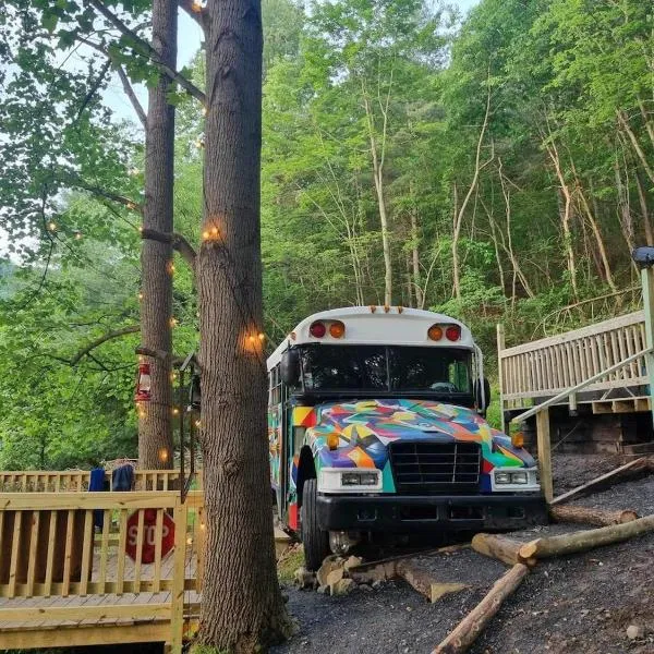 Skoolie in the woods, hotel in Rileyville