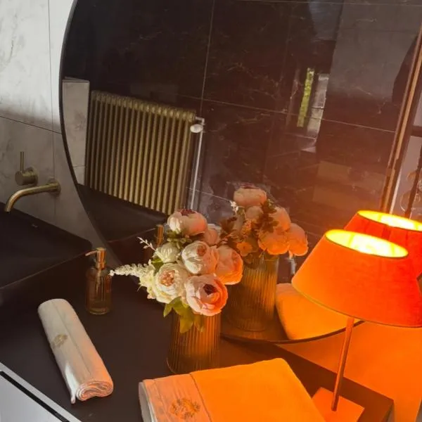 Sophia Rooms 14, hôtel à Maasmechelen